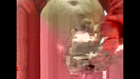 flippe64 online show from February 5, 10:08 am