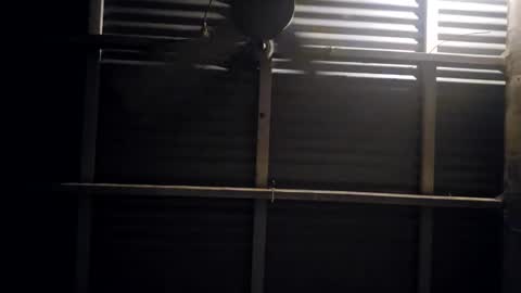 foliedeux online show from March 2, 3:42 pm