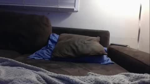 foliedeux online show from September 30, 3:15 pm