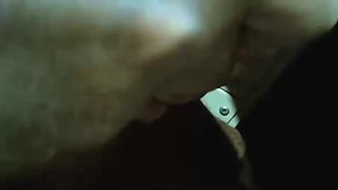 Frank online show from September 13, 2:18 pm