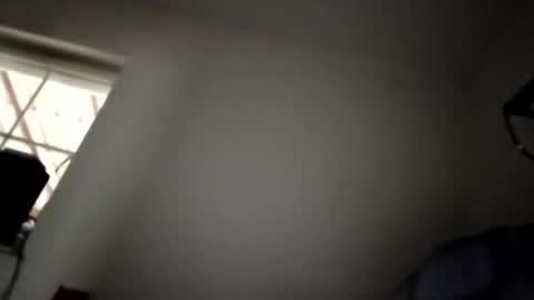 Wolfi online show from January 8, 10:59 am