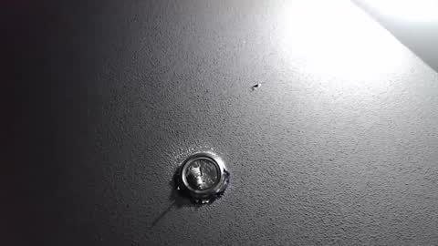 freakyfreddie305 online show from October 6, 3:33 am