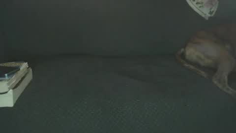 Snapshot of fred_spooner2 chatting on February 22, 2:49 pm fred_spooner2 online show from February 22, 2:49 pm