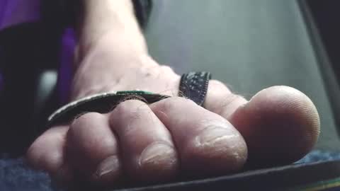 Greedy Fred online show from February 20, 2:41 am