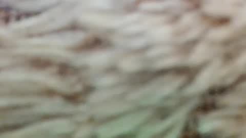 fullyfashionednylonlover online show from March 2, 11:06 am