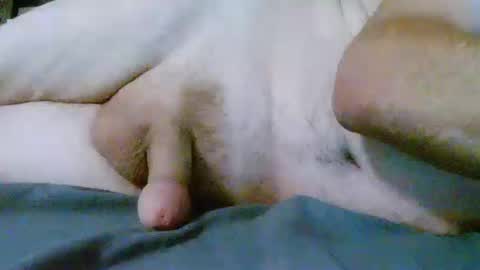 Snapshot of fultonstreet196860 chatting on October 13, 2:17 am fultonstreet196860 online show from October 13, 2:17 am