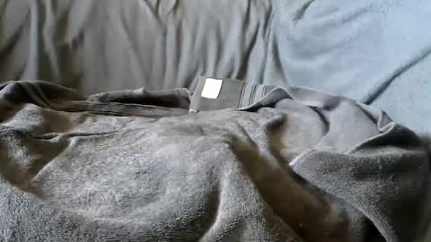 BigLoadsJoe online show from March 8, 8:24 pm