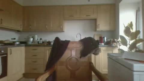 Snapshot of galacx chatting on February 21, 4:48 pm galacx online show from February 21, 4:48 pm