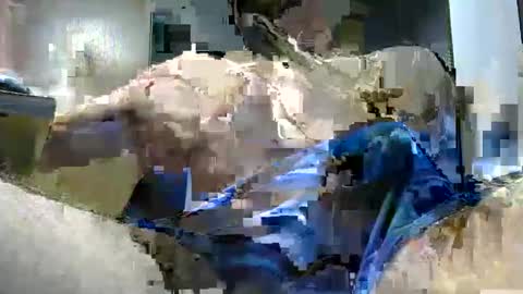 gauchors21 online show from December 20, 10:16 am