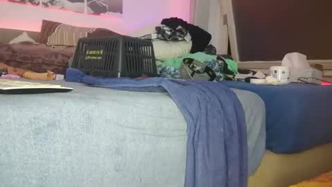 A  A online show from January 25, 1:54 am