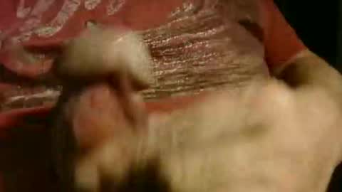 gettingstiff online show from January 12, 12:20 pm