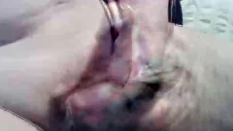 Snapshot of ghost1805 chatting on September 15, 9:05 pm ghost1805 online show from September 15, 9:05 pm