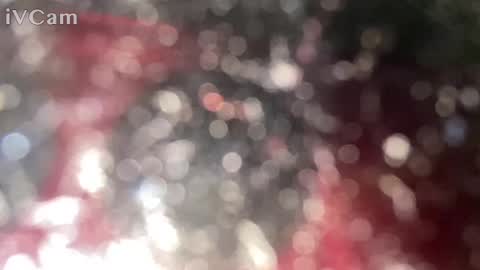 GingerNinja online show from January 12, 10:33 pm