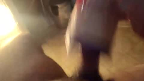 Giovanefu5 online show from December 31, 2:03 pm