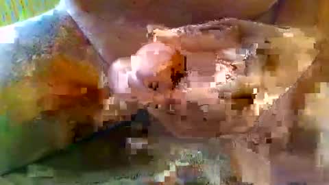 girafsnoop online show from January 4, 9:54 am