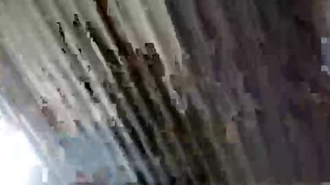 god_jol8 online show from January 11, 3:10 am