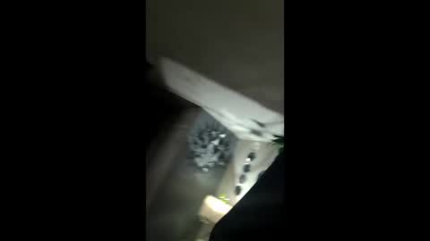 greatvalue86 online show from February 23, 6:53 pm