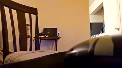 Moonshine online show from December 21, 10:18 pm