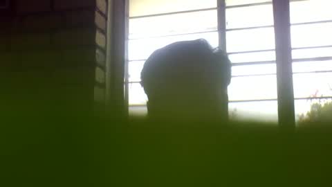 Grey Stud online show from February 14, 6:56 am