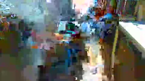 greyhounddog online show from November 19, 8:14 am