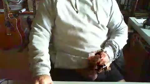 greyhounddog online show from November 14, 8:16 am