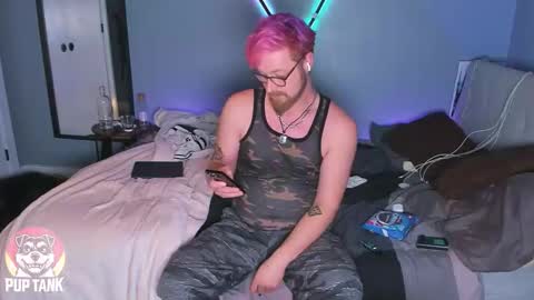 Alpha pup online show from November 3, 1:21 am