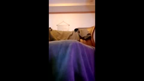 gupindolfefurle online show from March 25, 12:53 pm