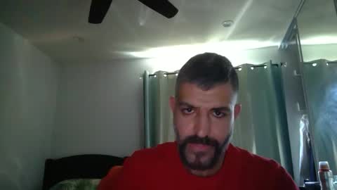 h0nest84 online show from February 15, 4:56 pm