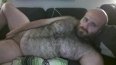 Hairiest Bear online show from June 4, 2:28 am