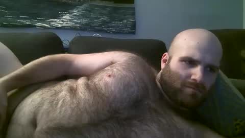 Snapshot of hairiestbear chatting on February 18, 5:53 am Hairiest Bear online show from February 18, 5:53 am