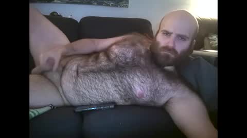Hairiest Bear online show from January 11, 10:19 am