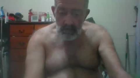 HairyPigSyd online show from September 25, 3:22 pm