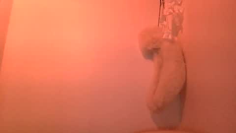 HairyTonkas online show from February 4, 1:45 am