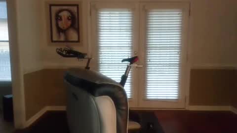 Snapshot of han63 chatting on December 19, 12:56 pm Han online show from December 19, 12:56 pm