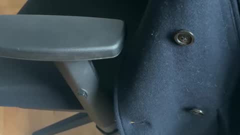 hanegcat online show from January 13, 9:08 am