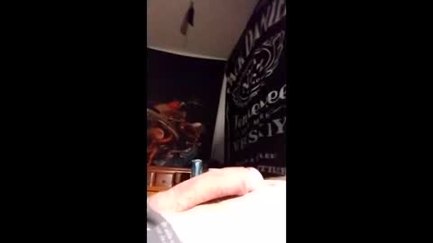 hankskrave online show from February 24, 2:18 pm