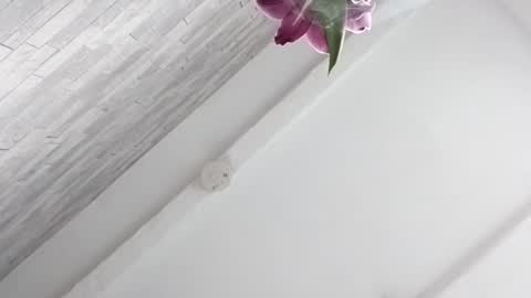 Calvin Secret  online show from February 2, 2:36 pm