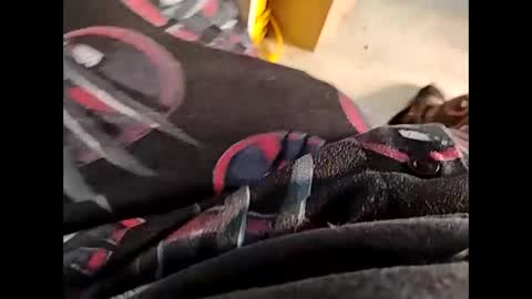 Snapshot of hardandhorny422 chatting on October 4, 6:13 pm hardandhorny422 online show from October 4, 6:13 pm