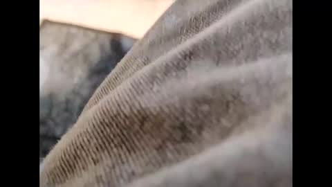 Snapshot of hardandhorny422 chatting on October 30, 11:55 am hardandhorny422 online show from October 30, 11:55 am