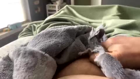 hardnthickm55 online show from February 14, 6:51 pm