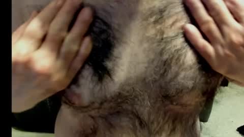 Snapshot of harry_banana chatting on December 28, 8:58 pm harry_banana online show from December 28, 8:58 pm