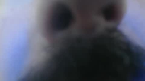 hayal758 online show from December 14, 8:18 pm