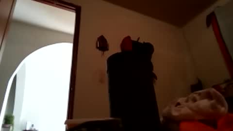 hebermiranda19 online show from February 21, 9:27 pm