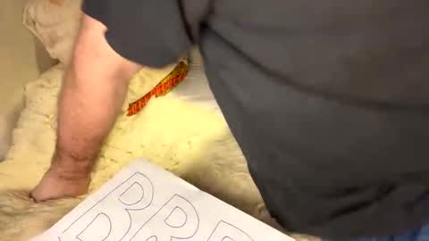 David Whinston Smith online show from October 3, 2:11 pm