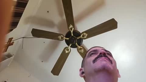 hoglegg99384194 online show from November 2, 2:10 pm