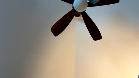 hornieecum online show from January 31, 9:24 pm