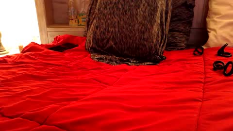 hornydood0525 online show from April 19, 3:39 am