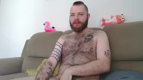 Snapshot of hornyhairy_bi chatting on March 5, 5:50 pm Harry online show from March 5, 5:50 pm