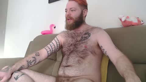 Snapshot of hornyhairy_bi chatting on December 17, 8:54 pm Harry online show from December 17, 8:54 pm