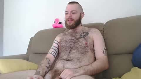 Snapshot of hornyhairy_bi chatting on February 12, 3:49 pm Harry online show from February 12, 3:49 pm